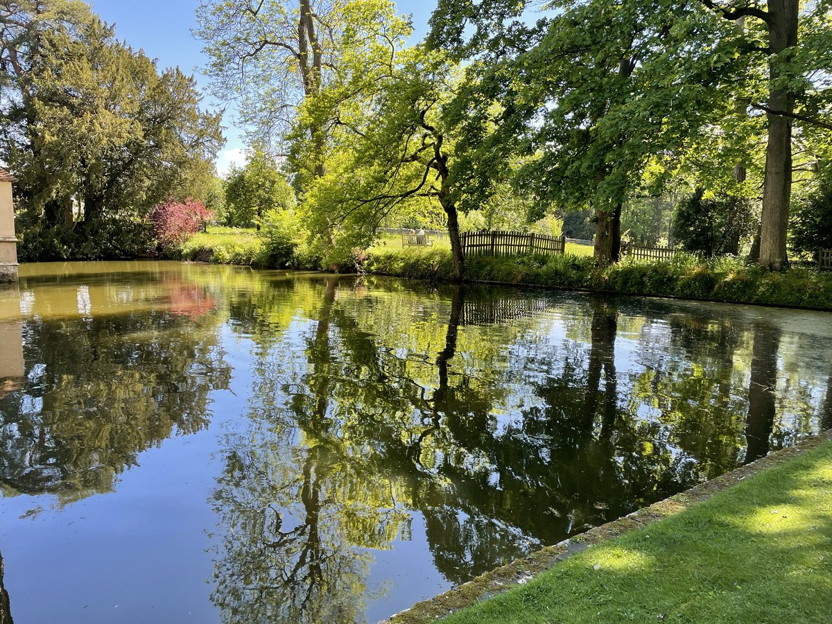 pringle_maria's tweet photo. #treereflections #nature #water https://t.co/Rmv8qw5004
