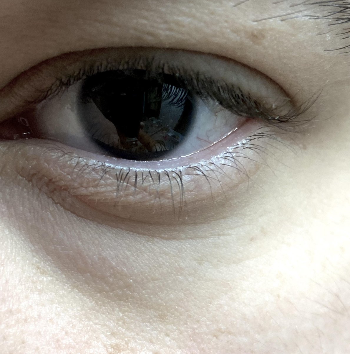 Eye Guys Social Club | REBORN 👁️ tweet media