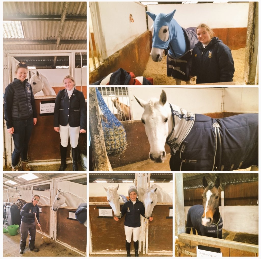 Sed_Equestrian's tweet photo. Making a fun weekend of competing #stayingover #stables #team #camaraderie #spirit https://t.co/pm84Y0xNLp