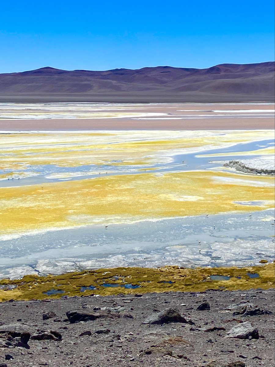 Halophiles22's tweet photo. What a beautiful landscape! Salar of Pujsa (Chilean Altiplano) https://t.co/gAniJzVelM