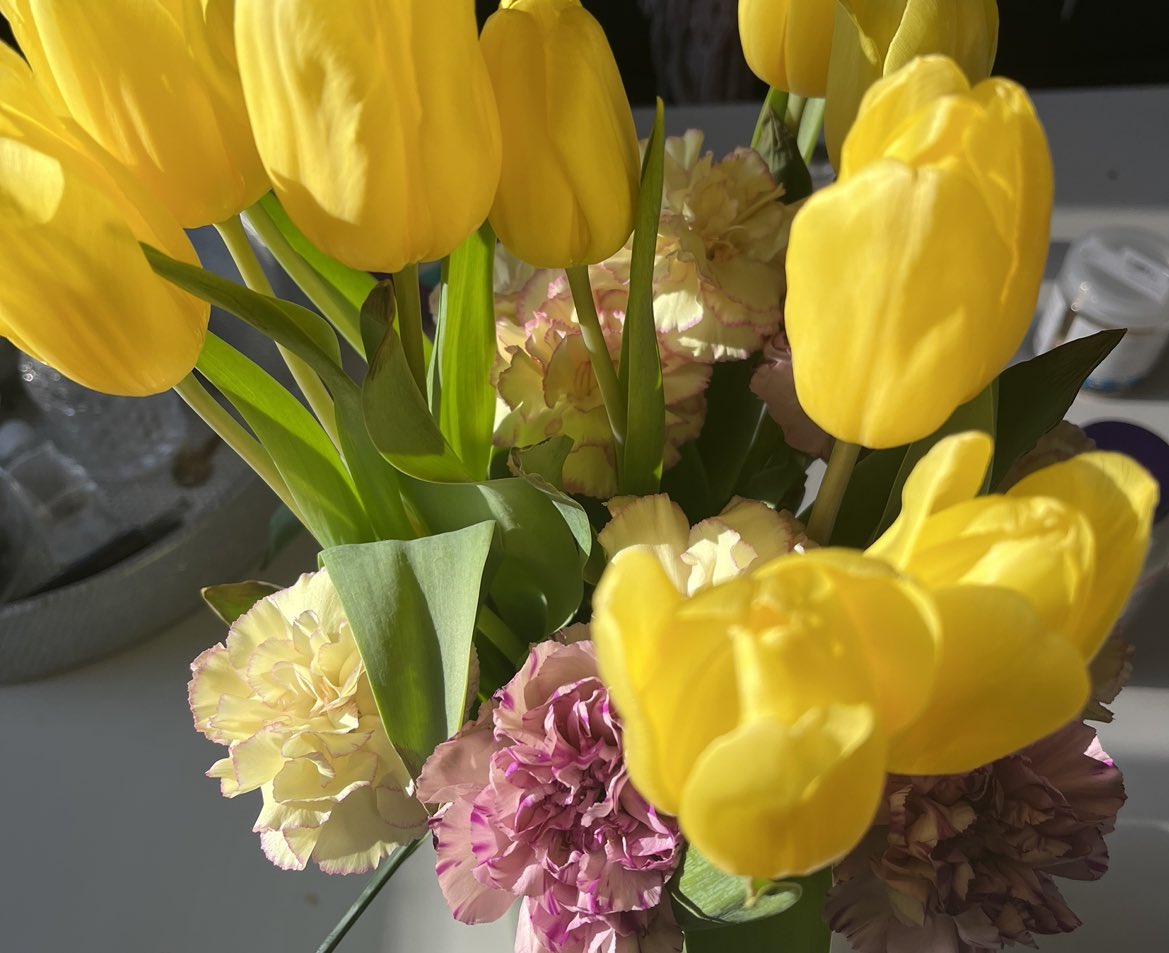 a bright &amp; sunny monday morning <3