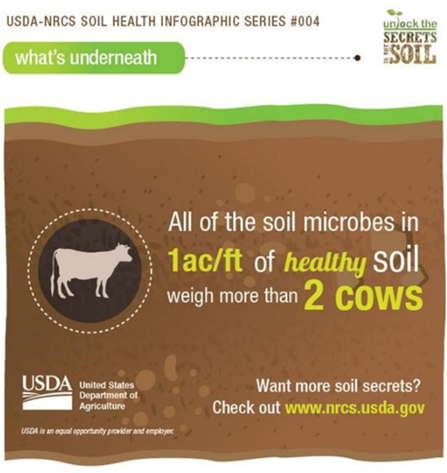 USDA_NRCS's tweet photo. The benefits of #soilhealth add up. We’ll help you get started. https://t.co/pEHIAnQEdR https://t.co/nCFQHv4aCo