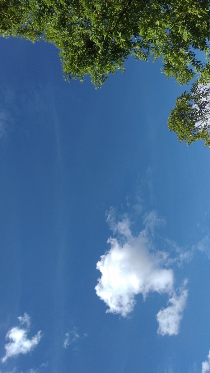 Anilesram_'s tweet photo. aku panggil ia "membiru"

-kumpulan blue sky
beberapa waktu saat langit membiru https://t.co/hgFBrM8TKx