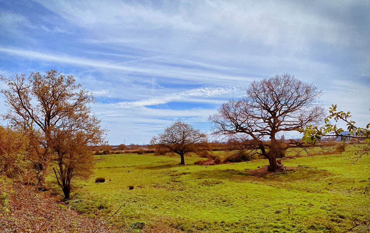 Runch 🏃‍♀️ 💥 So much more productive after a cheeky 4 mile run!  #ukrunchat #mondaymotivation #buzzing