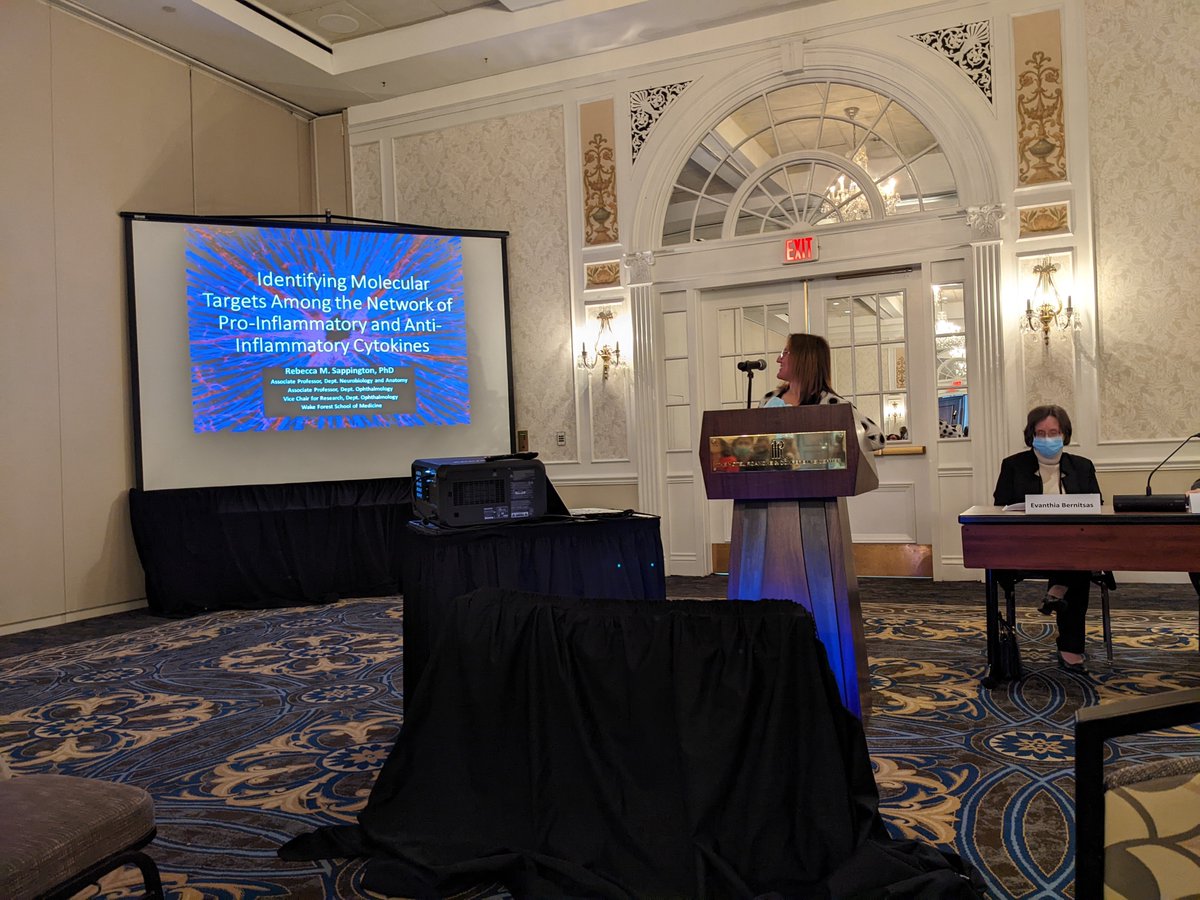 RDHendrix's tweet photo. Learning about #IL6 trans-signaling and retinal #degeneration with Dr. Rebecca Sappington. #ASN2022 #underpressure #stathmin #RGCs #axons #polyglutamylation https://t.co/mihoXk6Ufq