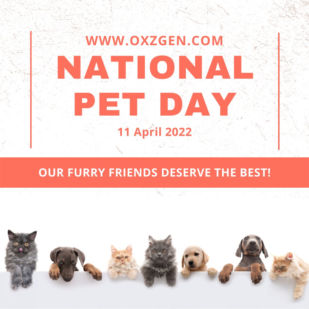 OfficialOxzgen's tweet photo. It’s National Pet Day! Your little buddy deserves the best, so why not give it to them? Try our 2-in-1 Pet Shampoo, CBD Dog Chews & Chicken CBD Pet Tinctures today! #OXZGEN #CBDforpets #CBD #dogsofinstagram #petday #nationalpetday #pet #shampoo #chicken #cbddog #dogchews #cbdpet https://t.co/iJqQmOid0W