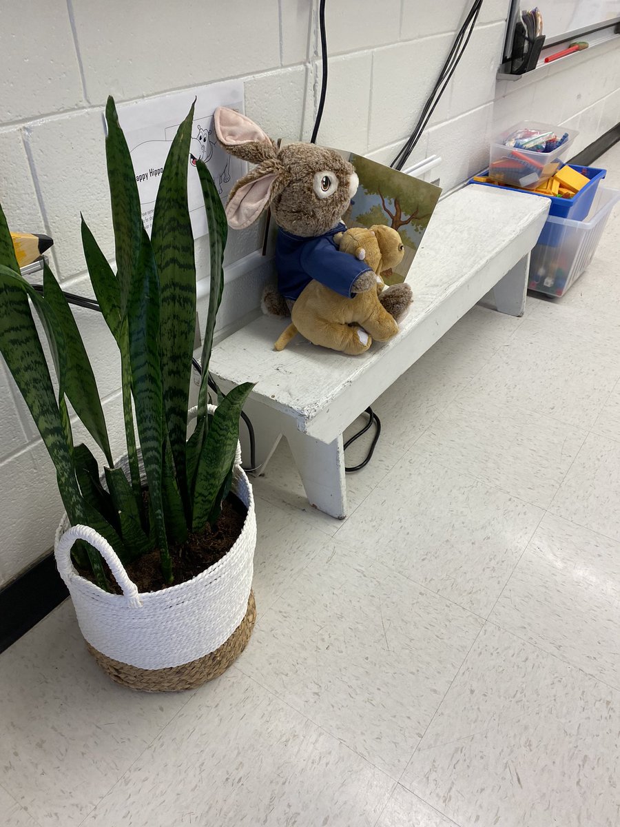 We found Peter Rabbit reading to Happy Hippo this morning! <a href="/LindaleSchool/">Lindale School</a> <a href="/alottielove/">Allison Shillington</a> #learningtogether