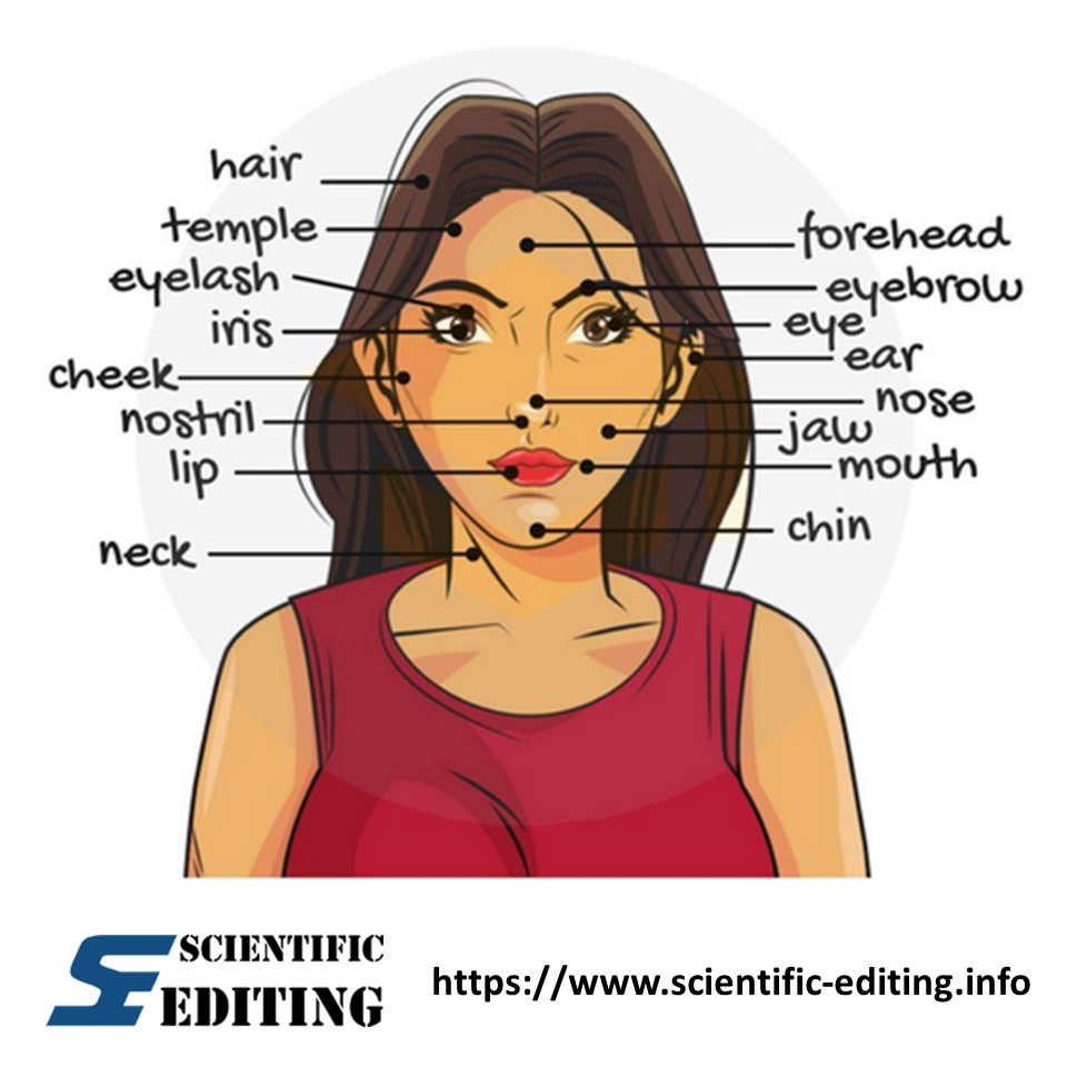 Learn parts of the head
#englishwords #englishvocabularies #englishediting #editingservice #englishproofreading
scientific-editing.info