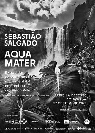 PSLExplore's tweet photo. [#Thread] Partage des Savoirs: @psl_univ est heureuse d'être partenaire de l'exposition photos de Sebastião Salgado #AquaMater, au pavillon en bambou de Simòn Vélez à la Défense jusqu'au 22/09.

Pour l'occasion plusieurs chercheuses et chercheurs partagent leur pensée sur l'eau⬇️ https://t.co/GHv9ueDyon