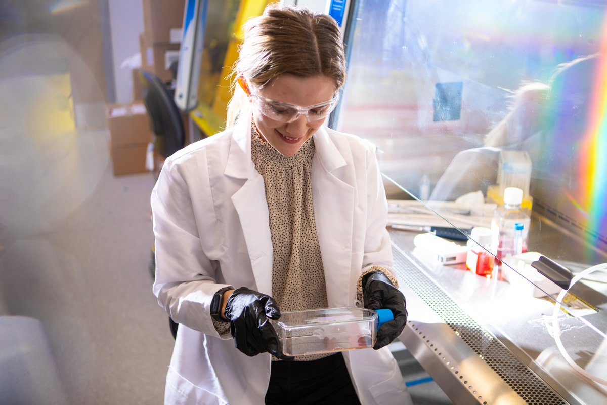 UBScience's tweet photo. Why don't big, long-lived animals get cancer more often? A team led by @UBBiology's Vincent Lynch (@DevoEvoMed) is studying this question in elephants, tortoises and more. 🧪🐘🐢🦇🧬🔬 UBNow story by @UBChemistry medical chemistry student Alexis Nicholson! https://t.co/yfwR1YMJKD https://t.co/B2MbeA2cFc