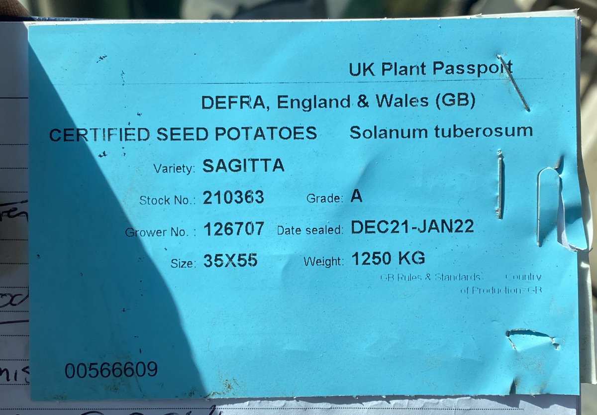 I have 3.75t of surplus 45/55mm Sagitta available from coldstore. Please DM if interested. 
Retweets appreciated.
(Cambridgeshire)