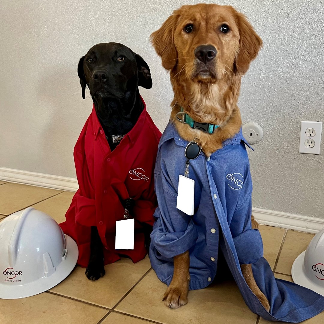 Oncor tweet media