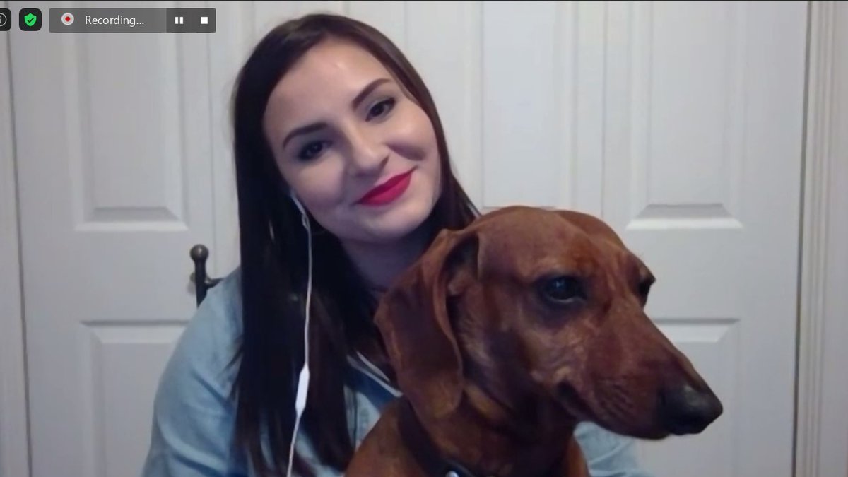 GCUCGLOBAL's tweet photo. It's #NationalPetDay!
We know furry friends can be a HUGE part of your work environment.
Show us your #dogswhocowork!
#bestfriend #letscothis https://t.co/kFfVy9taqv