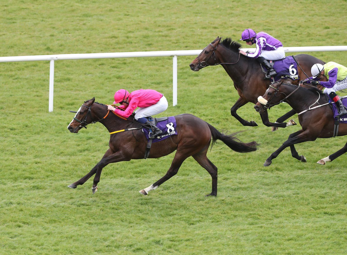 tuvastables's tweet photo. #layfayette #winner @HWbetsUKIRE Alleged Stakes Group 3 Well done @OrrOisin @emmacbutch @Neilryan55
Photos by #carolinenorris #noelmeaderacing #tuvastables #horseracing #teamtuva https://t.co/s7vfvjlMJF