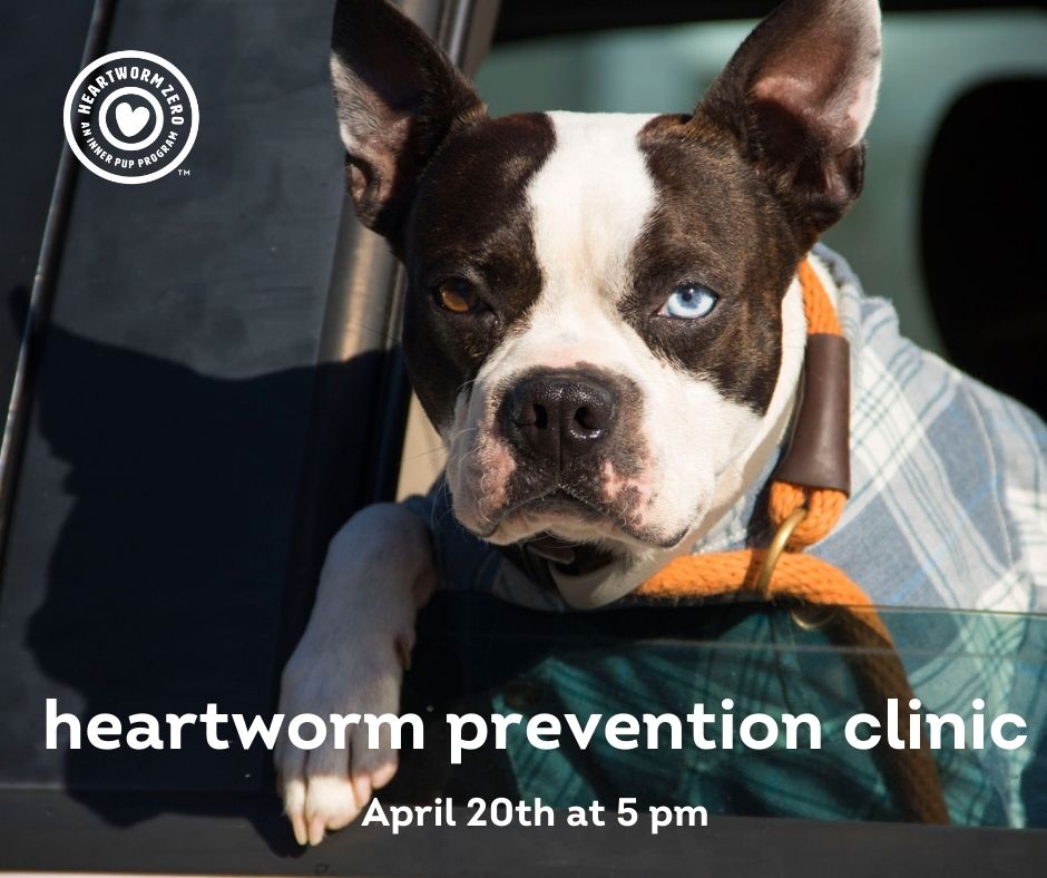 theinnerpup's tweet photo. April Heartworm Prev Clinic for EXISTING clients on April 20th at 5 PM in New Orleans. Our clinics are for pet owners who can’t afford regular vet care. 

Applications open until 5 PM on April 12th https://t.co/ll2Ig2lkCG

Questions?  Email us at info@theinnerpup.org https://t.co/pAbm6KBT9z