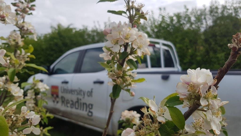 🍏 🍎 <a href="/Fruit_Watch/">FruitWatch</a> are looking for anyone in Somerset growing fruit trees to input their data about when these trees flower. This helps monitor any impacts of climate change on this process.  If you have a spare 5 minutes to get involved please visit: orlo.uk/u6G7c