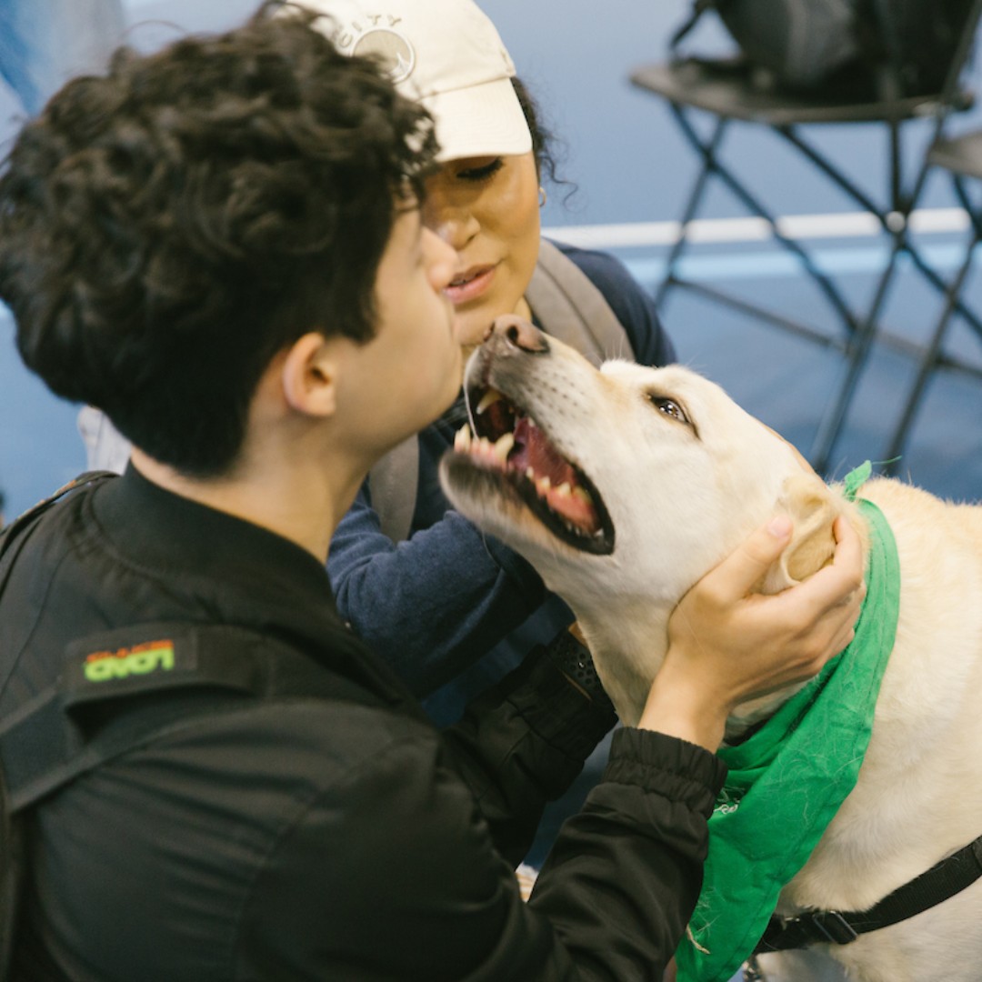 UIClife's tweet photo. We could argue that this is the best day of the year. 😊 Today we give some extra love to our pets! Tag us in your pet photos to get featured in our story. #showsomelove #extrafluff https://t.co/gzqB4VAdqx