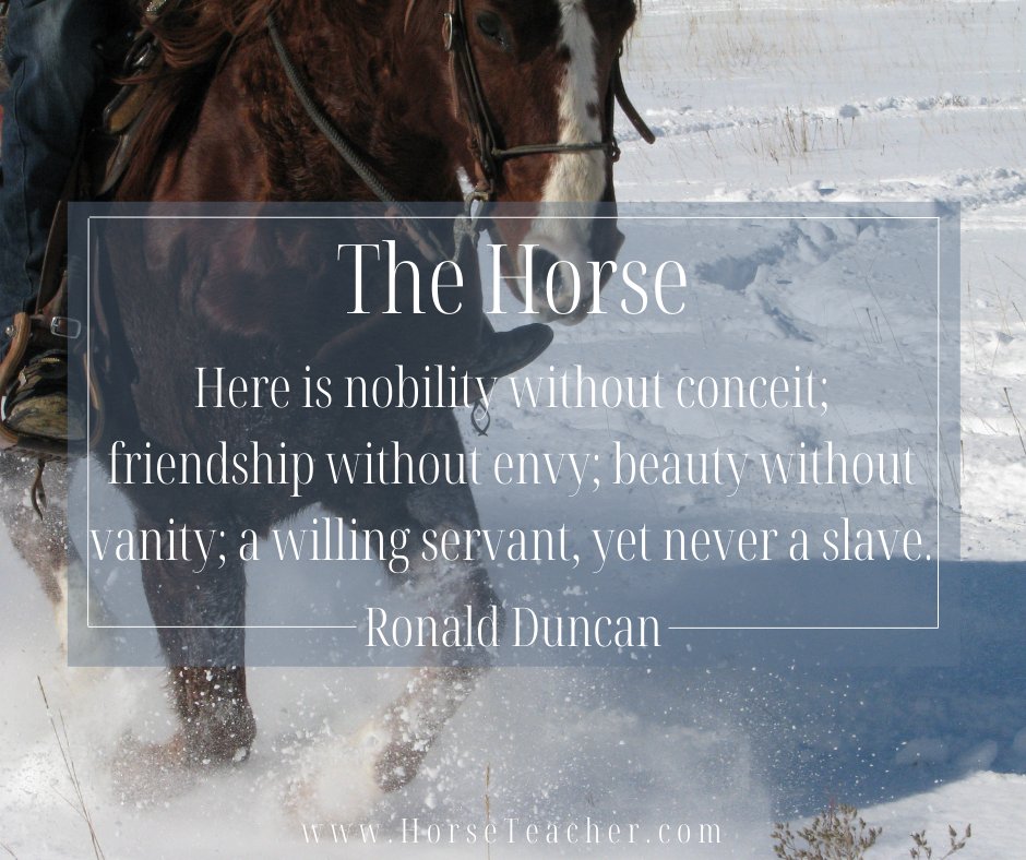 SteveRother's tweet photo. The Horse
Here is nobility without conceit;
Friendship without envy;
Beauty without vanity;
A willing servant, yet never a slave.
~Ronald Duncan

#MotivationalMonday #TheHorse #Nobility #Friendship #Beauty https://t.co/ISEopA1khW