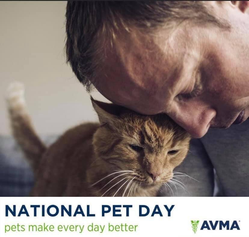 Florida Scanner tweet media