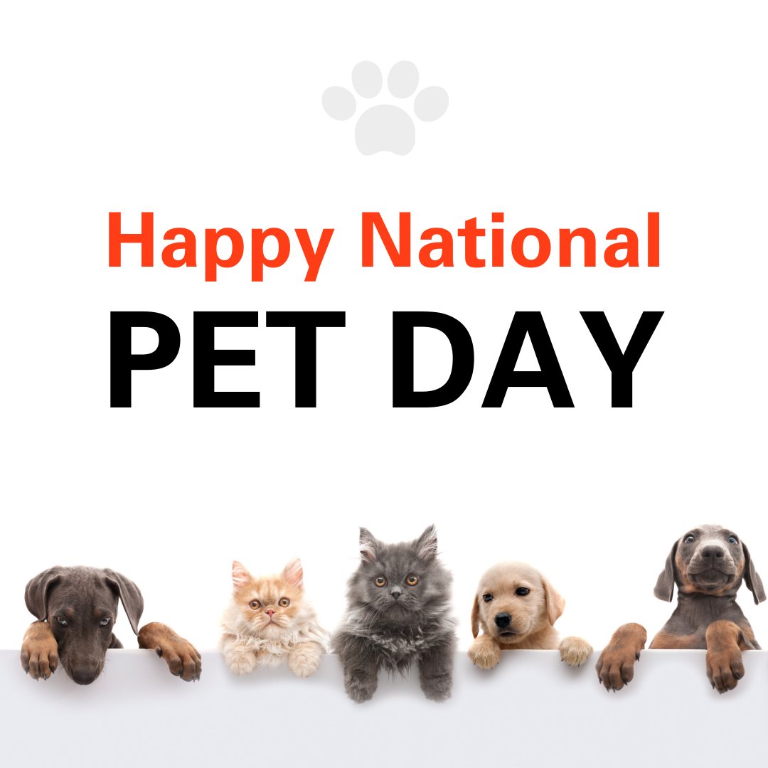 ViessmannCS_CA's tweet photo. Who doesn't love pets? 🐕🐈

For this National Pet Day, show us your pets, we'd love to see them! #nationalpetday #pets #dog #cat #bird #animals https://t.co/leL3m4xH9H