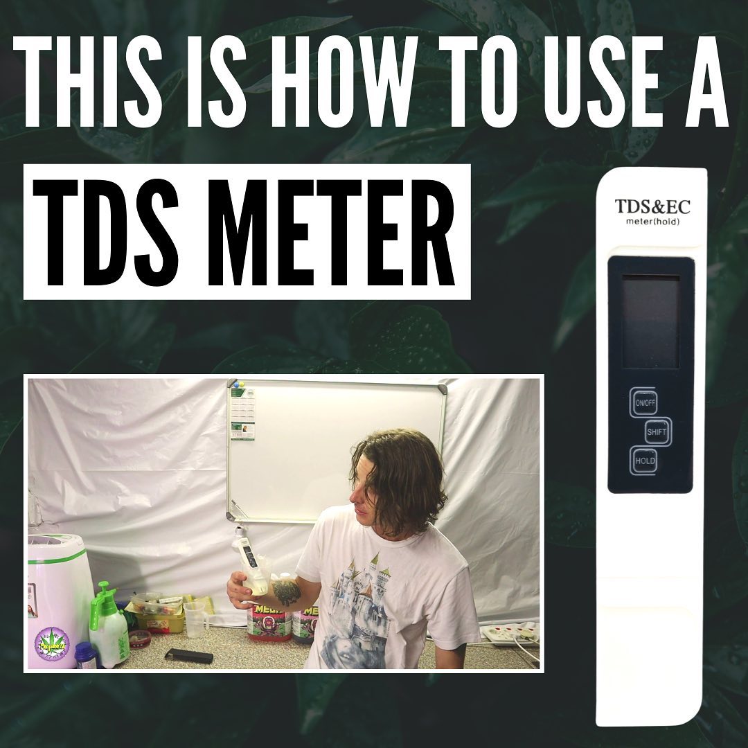 How to test EC for Hydroponics! 🧪🧑‍🔬

Testing you EC is a hydroponic grow is the highly important. 

But for those who have never done so before how exactly is it done? 

In this video we have a look at how to use the EC pen. Its quite simple but