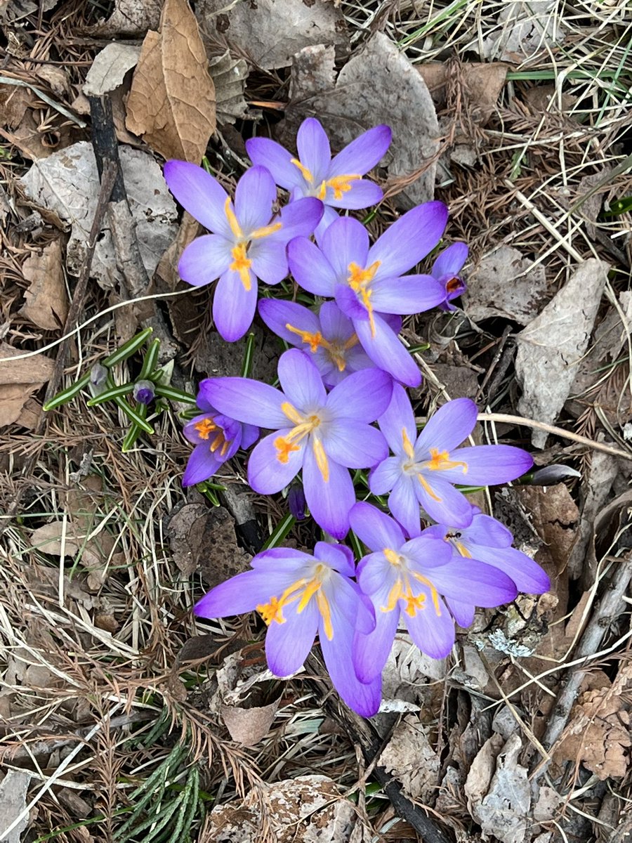 Spring is a time of hope, joy, and wonder. To reinforce your CULTURE bring hope through caring, joy through engaging stories, and wonder through images, videos, and photos!