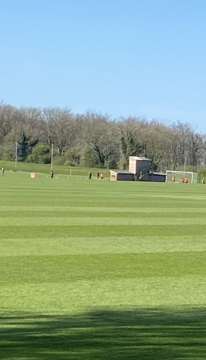 Pat Cleary tweet media