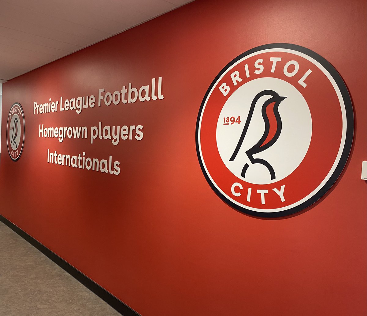 Pat Cleary tweet media