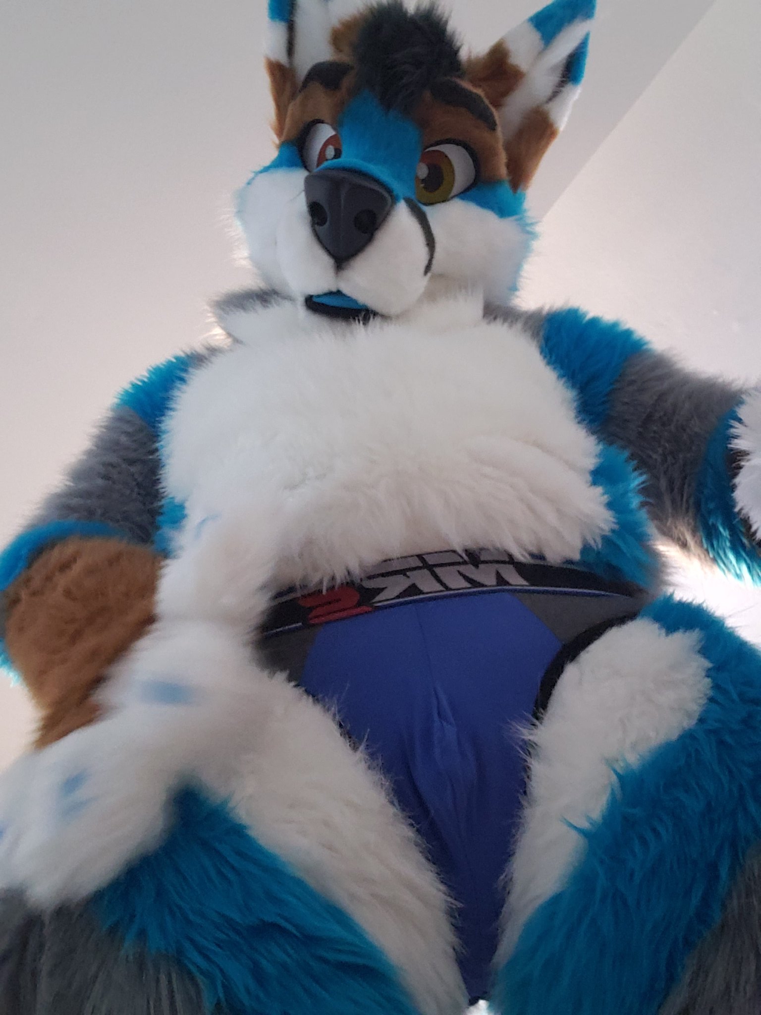 Fenris Ad @ Furpoc on Twitter: "How about a facefull for #