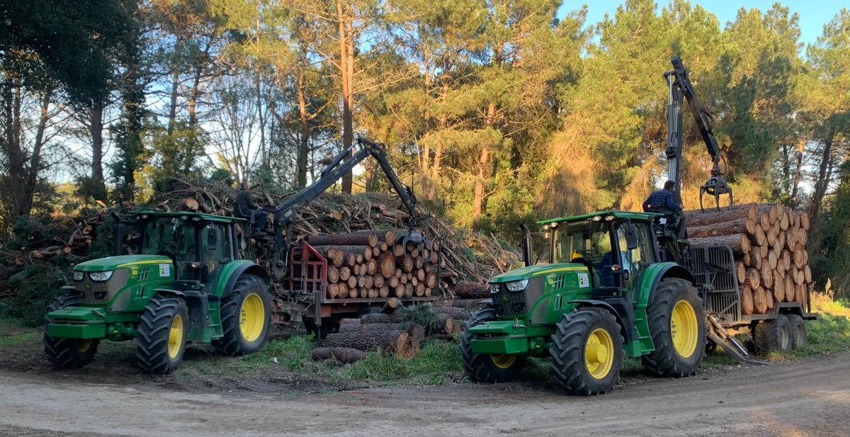 Alameda Torrent SLU tweet media