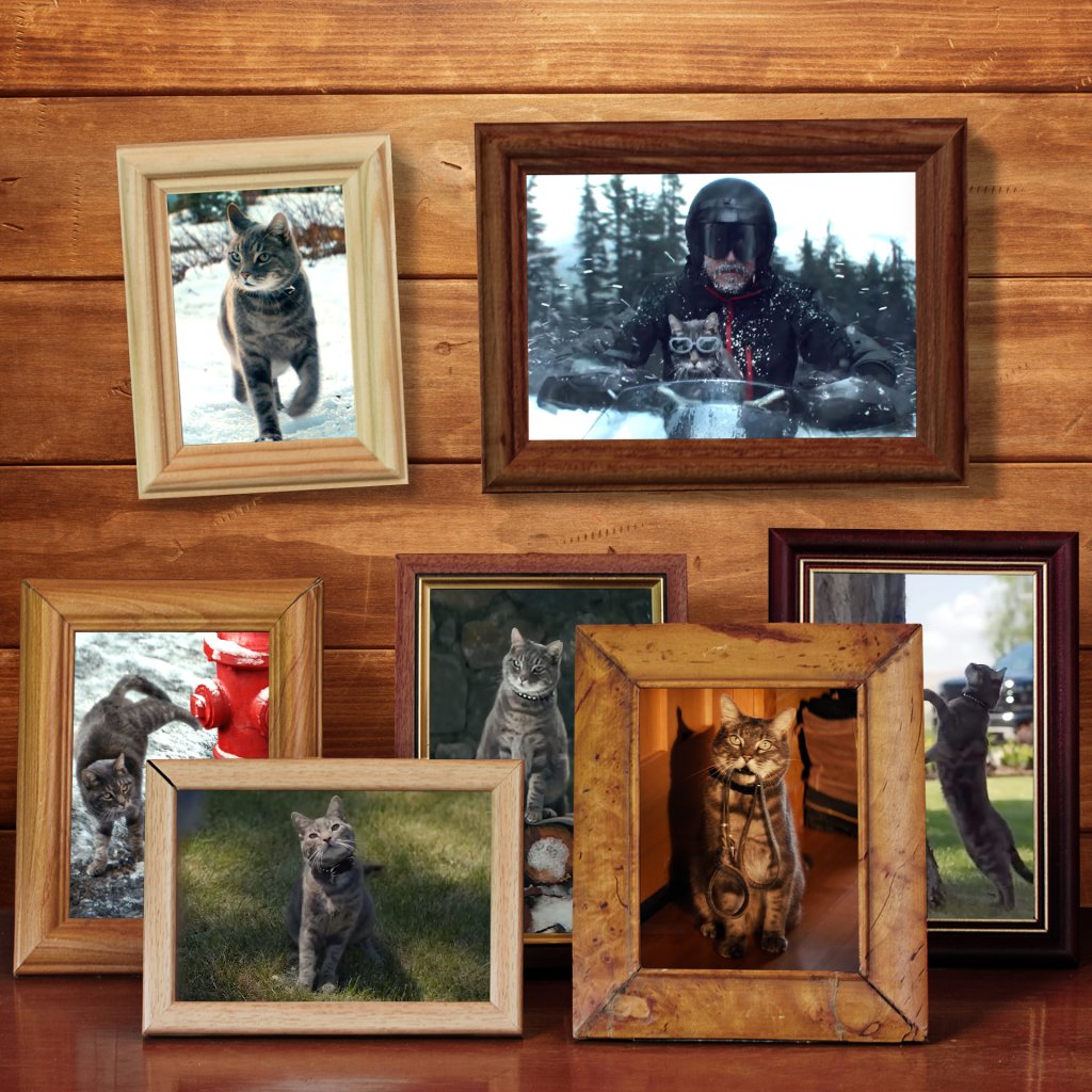 ATChevrolet's tweet photo. Happy #NationalPetDay to all of our furry best friends! https://t.co/nQ7p0ohaCl