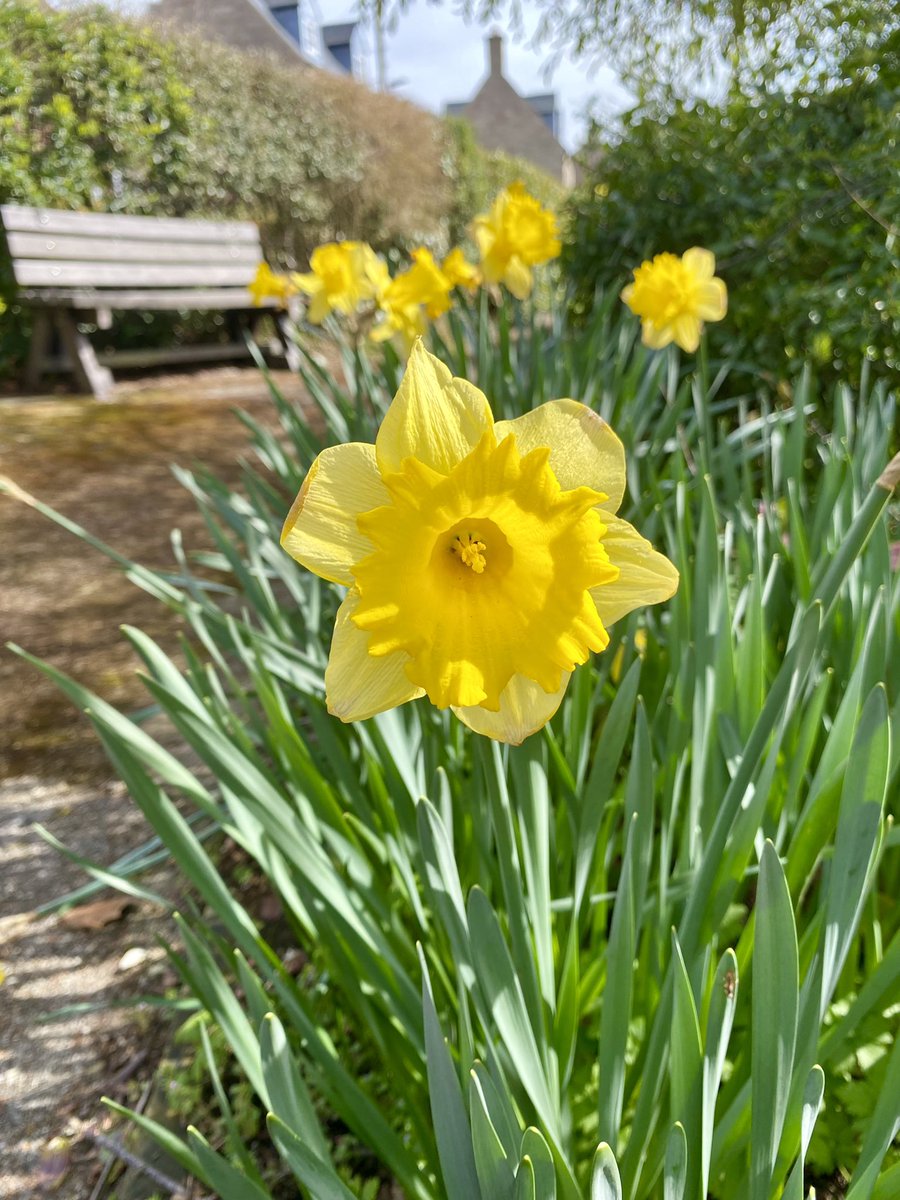 TConnectionSp's tweet image. Re-connecting with the garden and others after the winter break… Supporting #volunteering opportunities 💚🤎 @MatlockCouncil