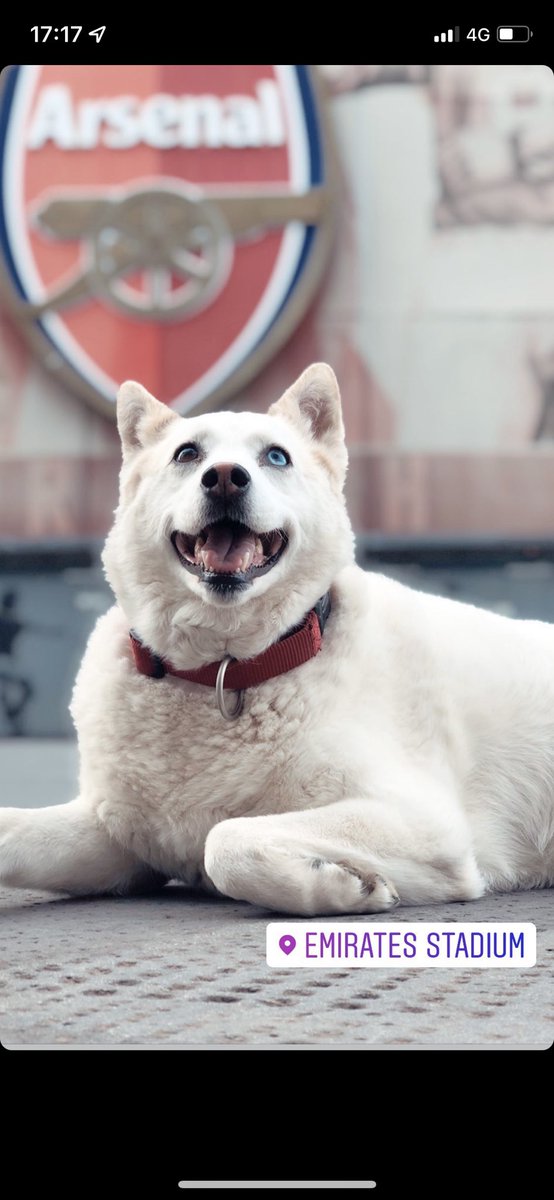 DeanRyan ❽❾ ☘️ tweet media