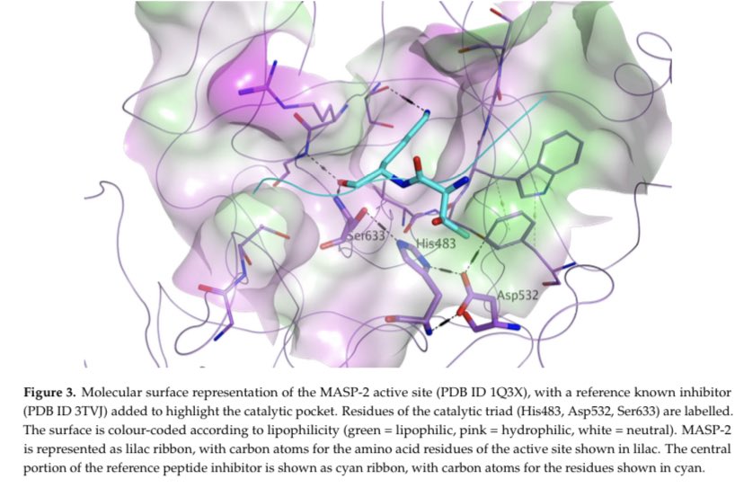 SixandLaura's tweet image. #lipids #MASP2