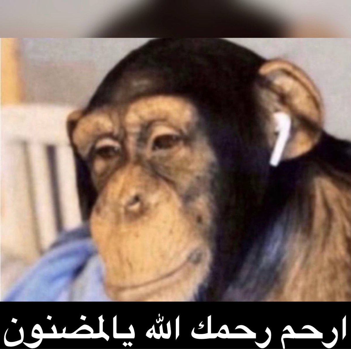 outofcontrol_z's tweet image. 