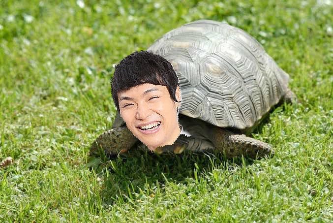 カメになったねぇ〜
#もう中学生
＃まだ小学生
#だいぶ高校生
#クソインキャ社会の底辺ゴミクズ大学生
#がんばれ社会人