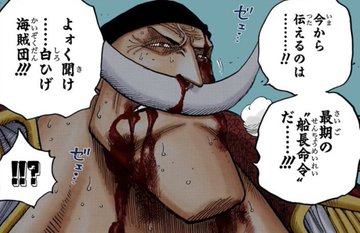 ワンピース スクアードの強さや能力を紹介 頂上戦争の戦犯は本当 3ページ目 Selvy