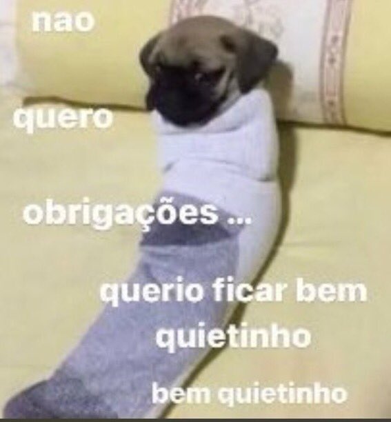 shitpostverdade's tweet photo. https://t.co/E5Vlu9uTF0