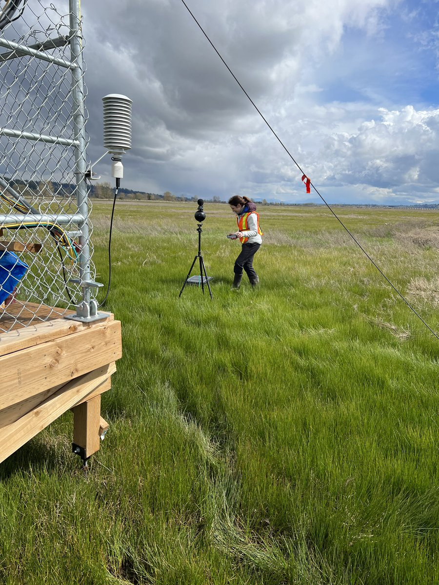 Our #bluecarbon flux tower is getting famous, video is coming out soon! Here are some behind the scene photos as a teaser.