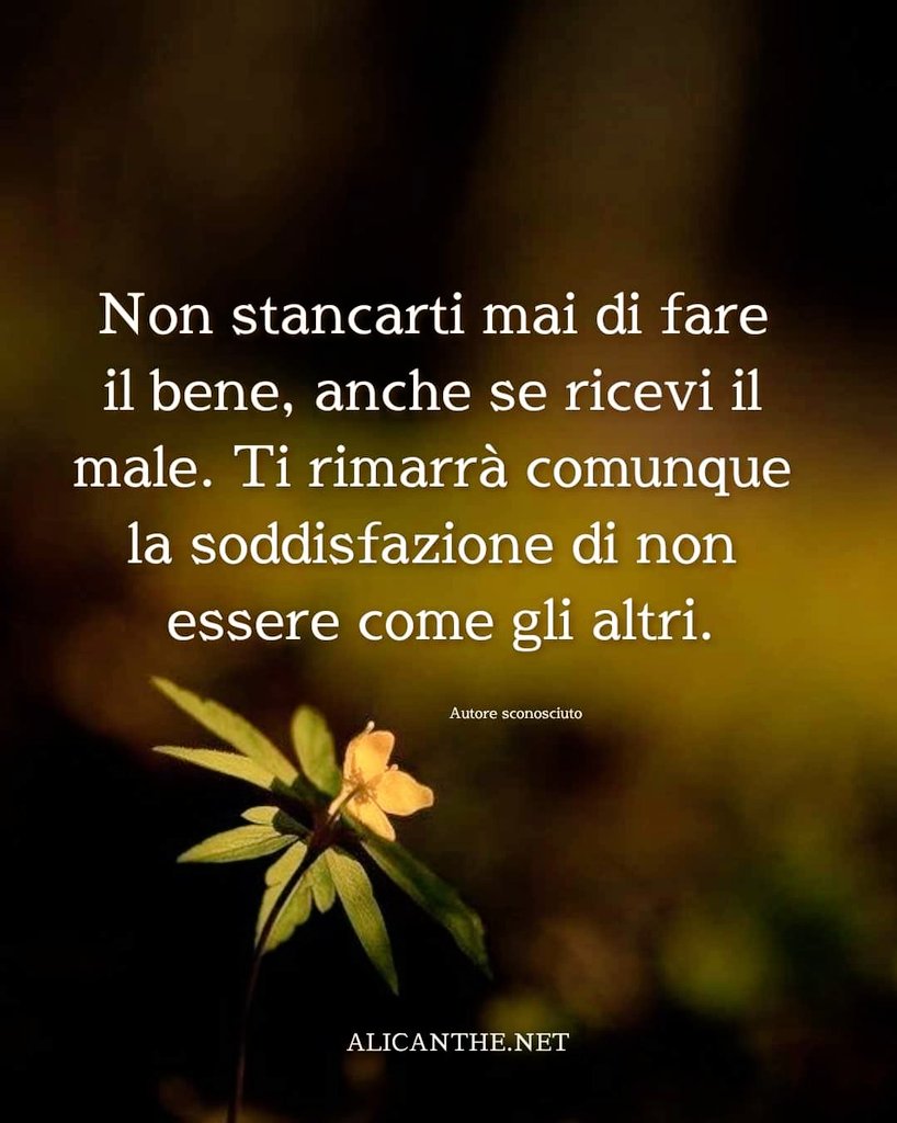 Ang_Gulino's tweet photo. ❤️🥰❤️🥰❤️🥰❤️
#11aprile
#scritturebrevi #VentagliInLibertà #VentagliDiParole #untemalgiorno #ESempre #Ecosi #SBLab22 https://t.co/mUyzNiLq42