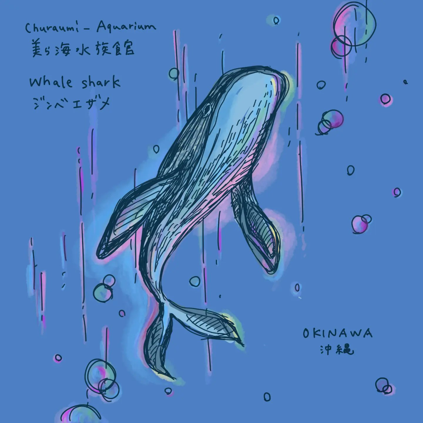 Lilly りりぃ Lillitlilly Twitter