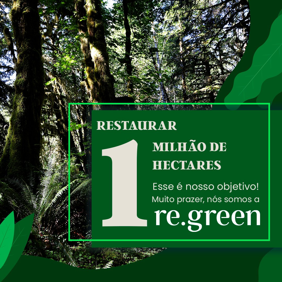 Re Green tweet media