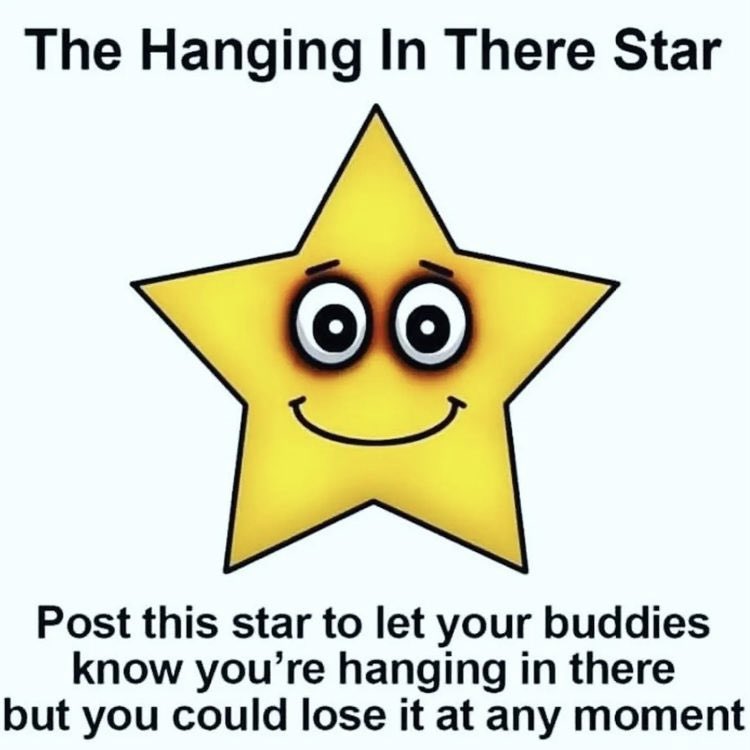 🤣🤣🤣🌟 Hang in there!

#hanginthere #hanginginthere #hangingin #star #funny