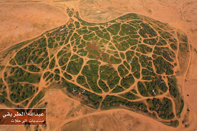 alharby_m's tweet photo. سيارة واحدة تفعل ما لايفعله 100 بعير في الأرض ..
يثرثر الأكاديمون وتغيب الأبحاث الحقيقية بحثاً عن ضرب المكون الثقافي لهذه الأرض .. https://t.co/nt4vyDRAFA