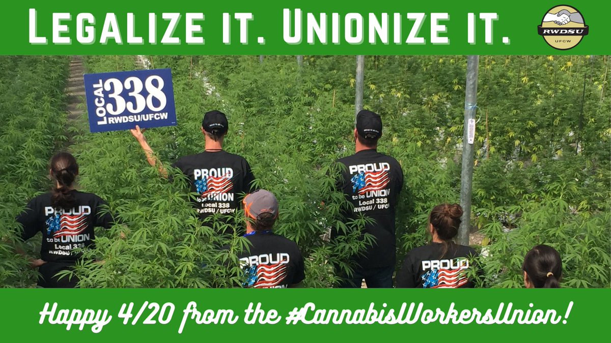 Happy 4/20! Our union proudly represents cannabis workers! Members of our union have seen firsthand the way that cannabis can positively impact their patients’ lives. Legalize it. Unionize it! #CannabisWorkersUnion CC: <a href="/Local338/">Local 338 RWDSU/UFCW</a>