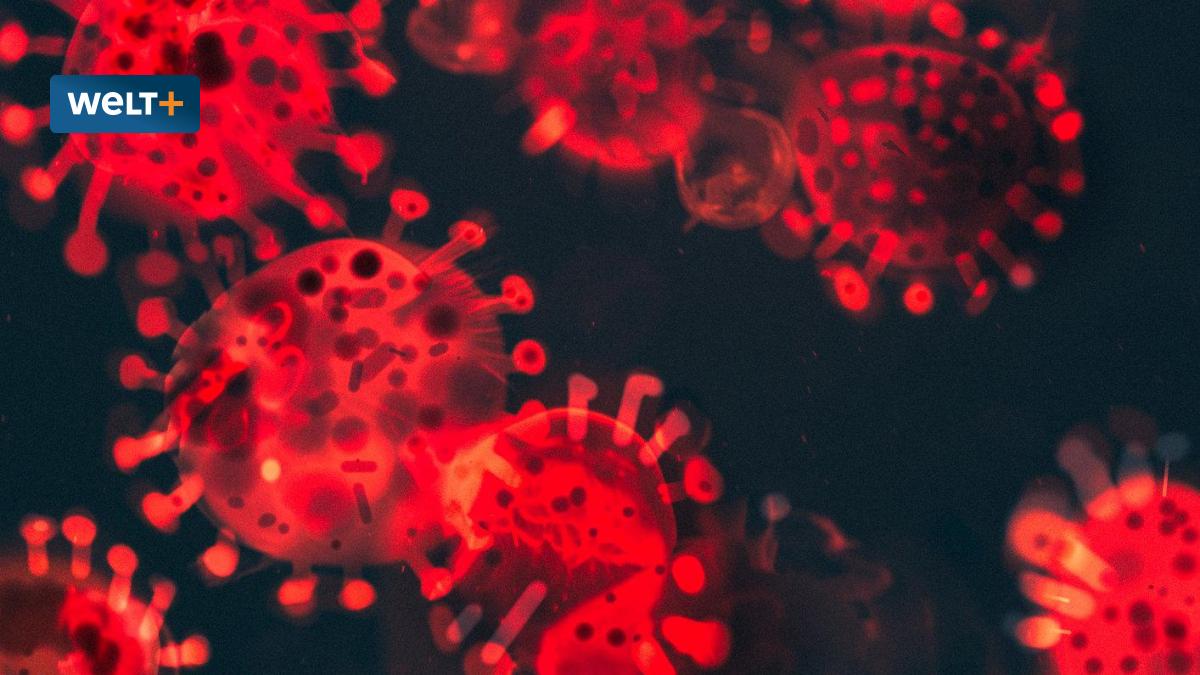 welt's tweet photo. „Nach der dritten Immunisierung reagiert das Immunsystem immer weniger“ https://t.co/6hjIzPRLkQ https://t.co/VuO9gj8gag