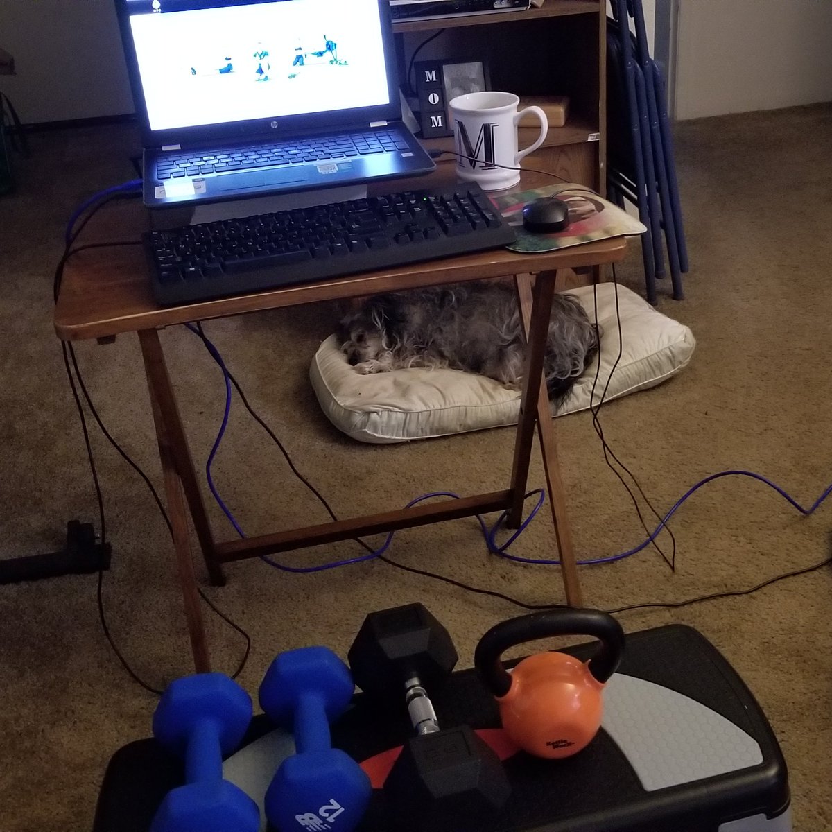 Never miss a sweatfest Monday w/burning thighs! #nevermissamonday 
ACCM3C3S1+finisher
<a href="/MyPeakChallenge/">My Peak Challenge</a> @GrndPrntPeakers <a href="/RoadtripPeakers/">RoadtripPeakers</a> <a href="/HomeGymPeakers/">Home Gym Peakers</a> @SoberPeakers <a href="/CoachValbo/">John Valbonesi</a> <a href="/FamilyHPeakers/">FamilyHeritagePeakers</a> <a href="/ComedyPeakers/">Comedy_Peakers</a> 
Still lovin' life in my 60's!