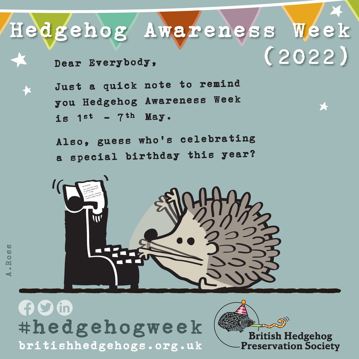 Hedgehog Society tweet media