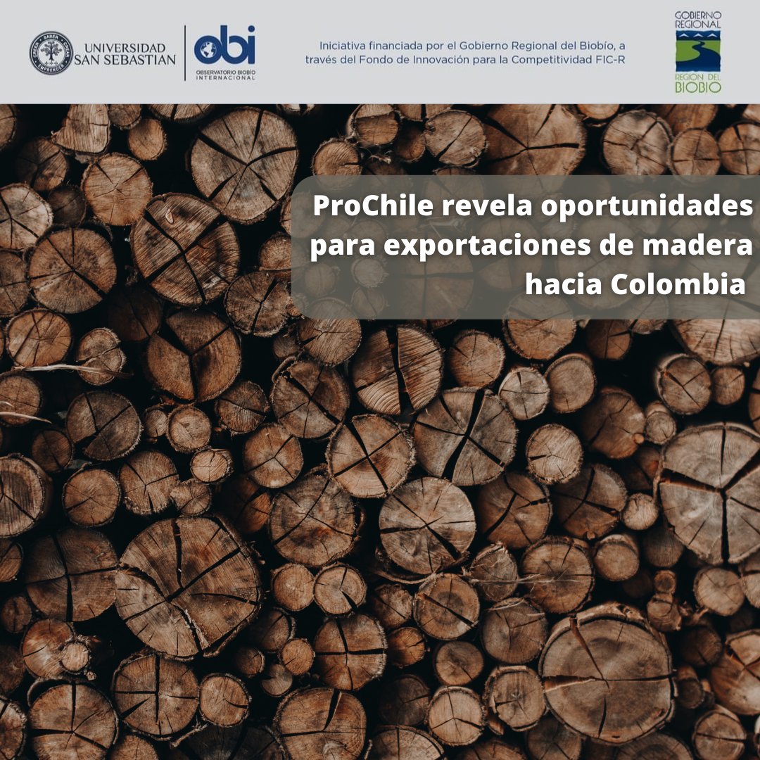 Según las principales conclusiones del "Estudio de Mercado para el sector maderero en Colombia", presentado por la oficina de Pro Chile Biobío. Está pais se alzaría como una importante oportunidad para hacer negocios con pequeños y medianos comerciantes del rubro maderero. 

#obi