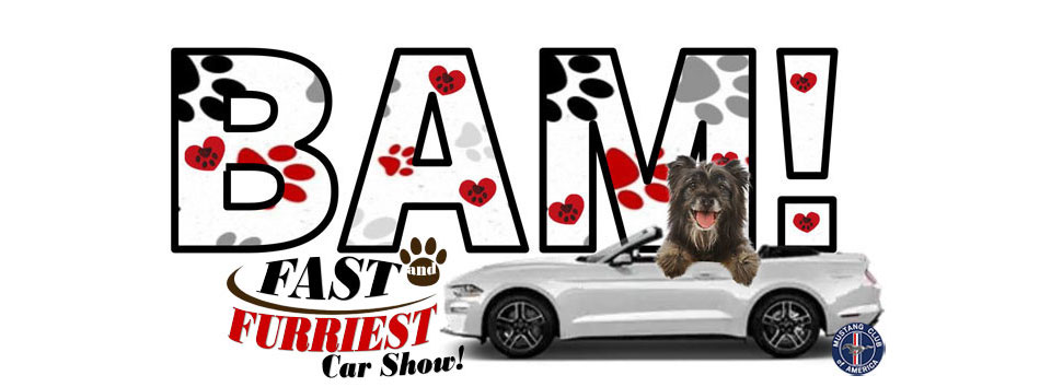 BayMustangs's tweet photo. 39 days until BAM! Fast &amp; Furriest Car Show open to all years and all makes and models of cars, trucks and motorcycles.  Register today at https://t.co/tJvr8lqKcl https://t.co/pZ7wsBqN6B